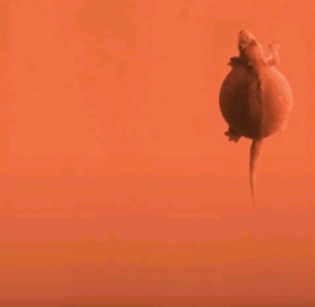 trước khi em tồn tại 