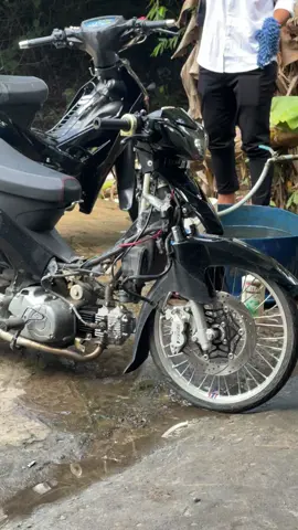 cọp cbi ra lò🤣