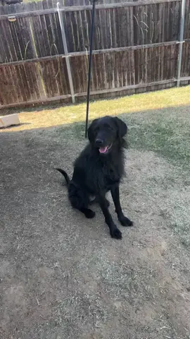 @Natalie ❌ #craiggerr1 #fyp #funny #beavisandbutthead #funny 