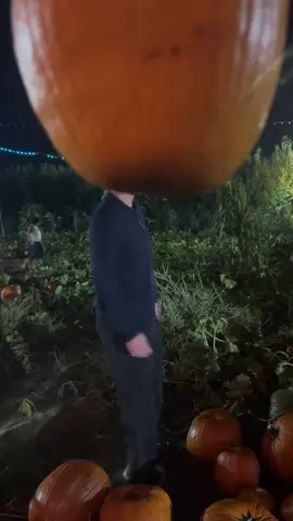 CUUUTTEEE #fall #pumpkinpatch #fyp #bf #theflydanica