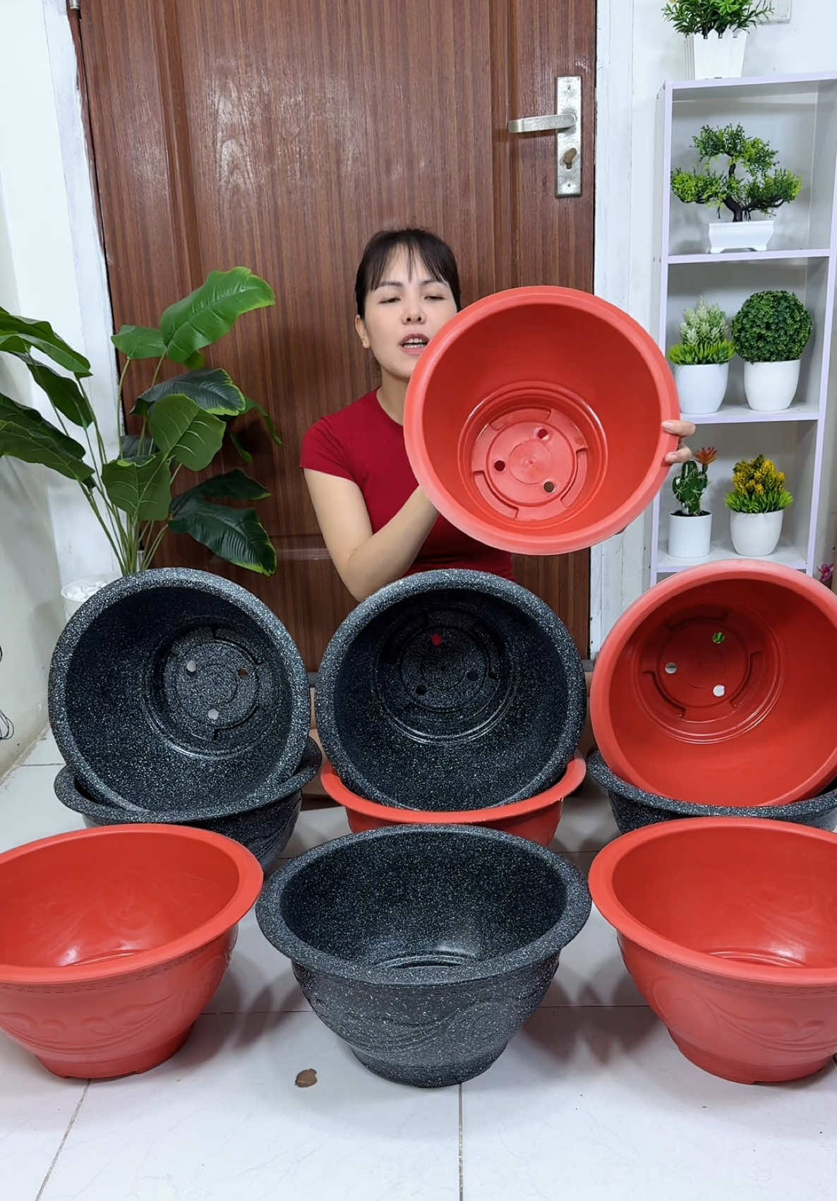 Chậu nhựa trồng cây trồng hoa#hegiare #chaunhua #chaunhuatrongcay 