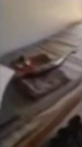 나는 볼 수 없습니다. 배고픕니다. 우리 한국 글쓰기는 그들이 말하는 것과 다릅니다.