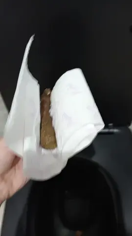 #fyp #рекомендации кот кормилец