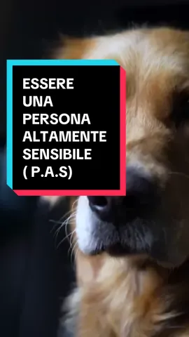 Io l’ho scoperto nel 2017: ero sempre stanca, sopraffatta, e non capivo perché.  Dire che mi sono sentita fuori luogo per anni è dire poco.  Soprattutto quando alle cene o le feste dopo due ore, volevo scappare fuori. Ma dal 2017  ho capito che non ero fragile o sbagliata .  Ero solo molto più sensibile degli altri. 💡 Cosa significa Le persone altamente sensibili ( circa il 20% della popolazione) vivono tutto più intensamente — suoni, emozioni, parole. Il loro cervello è differente. L’ipersensibilità può anche essere solo un sintomo di altro come autismo o ADHD. Sono empatiche, intuitive, profonde.  Ma hanno bisogno di limiti, silenzio e recupero. 🧭 6 segnali per riconoscerti 1️⃣ Ti sovraccarichi facilmente in ambienti rumorosi o caotici. 2️⃣ Assorbi le emozioni degli altri. 3️⃣ Hai bisogno di più tempo per decomprimerti e recuperare . 4️⃣ Ti toccano molto le critiche o le tensioni. 5️⃣ Hai un intuito e una sensibilità fuori dal comune. 6️⃣ sei più sensibile a tutti gli stimoli olfattivi sensoriali uditivi, al caldo al freddo, molto spesso il tuo intestino è più sensibile o hai la sindrome dell’intestino irritabile. Ricorda: Non siamo “troppo sensibili”: siamo più ricettivi. Abbiamo superpoteri, ma solo se impariamo a proteggerci e rispettare i nostri limiti. Vi sono due persone nel mondo dell’altra sensibilità che mi hanno aiutato e mi stanno continuando ad aiutare e che vi consiglio di seguire e di leggere: @paspeople_trucco_e_sto  e @nicoletta_travaini . Se ti riconosci nella descrizione o se vuoi parlarmi della tua esperienza, ti leggo nei commenti.  #pas #personealtamentesensibili #highsensitiveperson #personaaltamentesensible #ruthstirati@Elena Trucco 