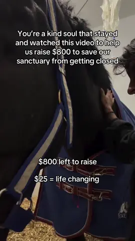You’re a kind soul that stayed and watched this video to help us raise $800 to save our sanctuary from getting closed#fyp #goviral #sanctuary #horse #newyork 
