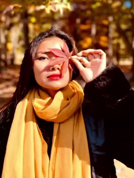 #အရင်လိုချစ်ဆဲမင်းကို #ချမ်းချမ်း #musics  #fly  #ktm 