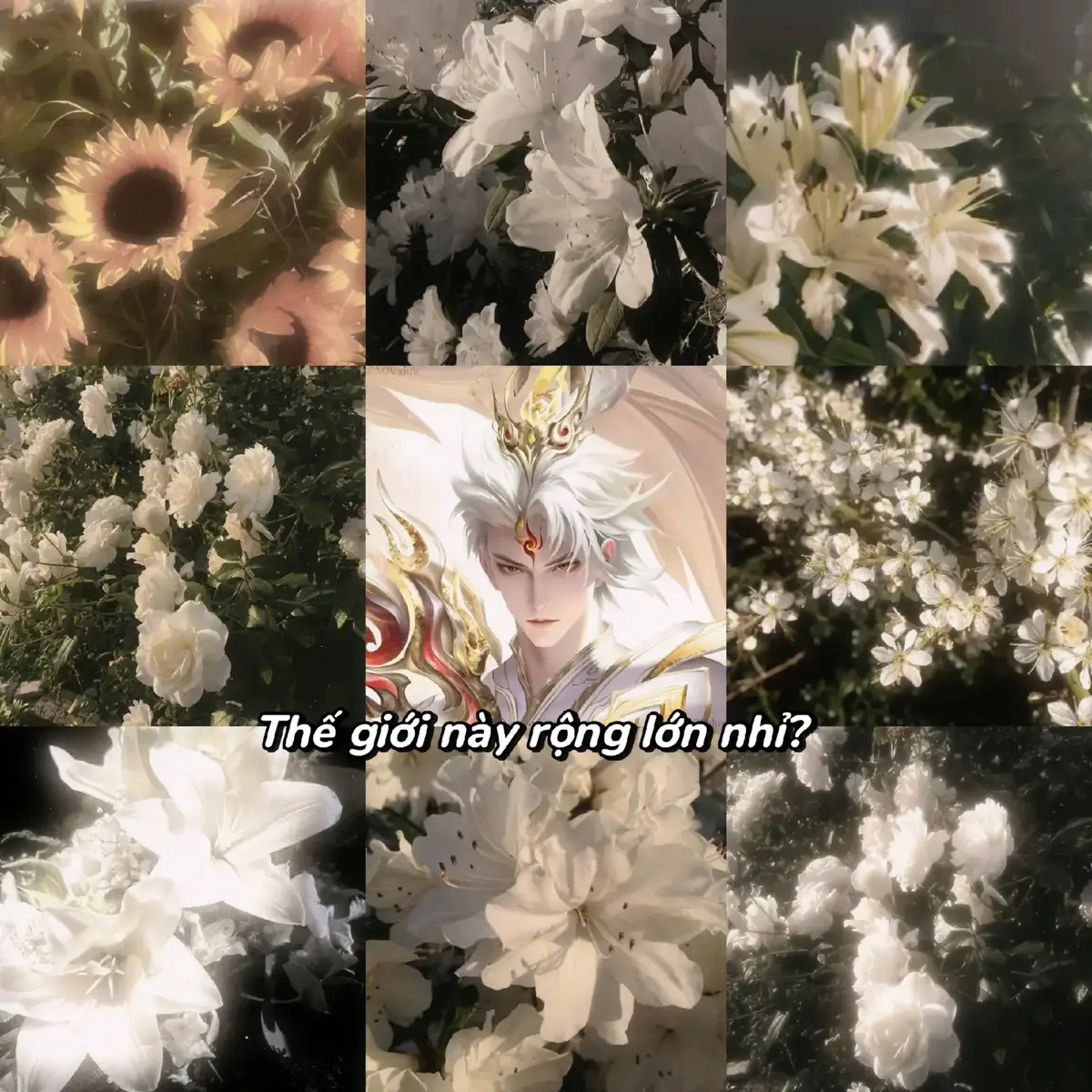 #xuhuong #lienquanmobile #honorofkings #creatortiemnang #ilovetiktok 