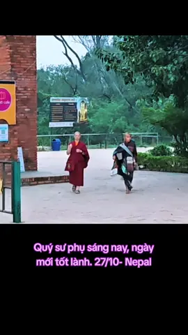 27/10/25 Hình ảnh quý sư phụ sáng nay . Ngày mới an lành tốt đẹp 🥰🙏  #Thayminhtue #MasterMinhTue #Suminhtue #Hanhdauda #tuetran