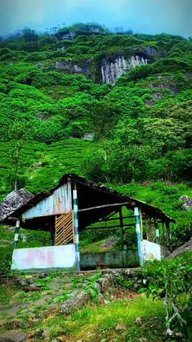 😮 මේ කොහෙද 🍃