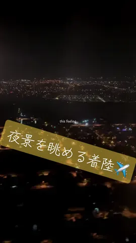 夜景を眺める着陸✈️ #飛行機 #空港 #夜景 #landing #travel 