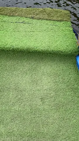 Ga pernah bosen kalo main kesini ✨🥰 #telagamenjer #dieng #wonosobo #fyp #fypシ 