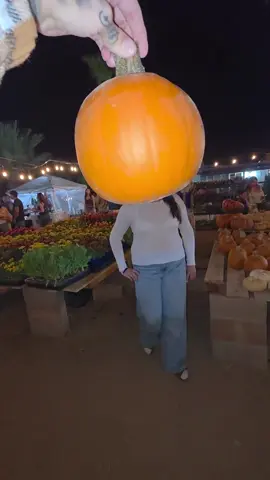 pumpkin patch 🎃 #pumpkinseason  #pumkinpatch  #girlsnight  #fy #trend 