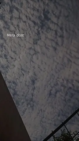 Mera dost  ❤🤗 #foryou #foryou #timeplat #foryoupage #kotliazadkashmir 