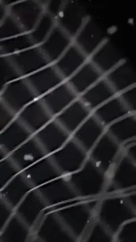 تسليكك الورد يذبل لو قفل فلاحهه التفاعل جنه استمر  😴🔕#تصميم_فيديوهات🎶🎤🎬 #لايت_موشن #أفكار #طششونيي🔫🥺😹💞 #fyp 