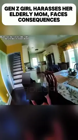 #cops #copstiktok #police #audit #fyp 