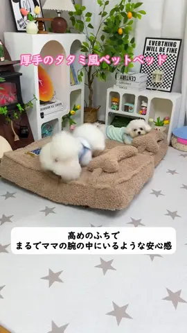 秋冬用あったか厚手、洗えるごろ寝マット#わんちゃん#ペットグッズ#冬支度