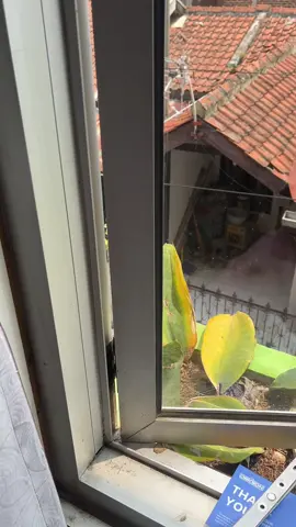 Engsel statis jendela alumunium. #engselcasement #engseljendela #engseljendelaalumunium 