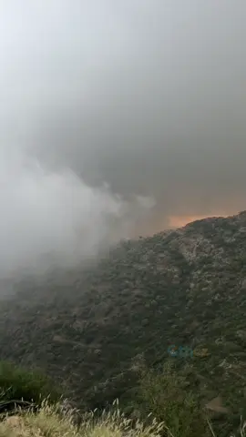 #jawi_bila🌊❤️🌴 