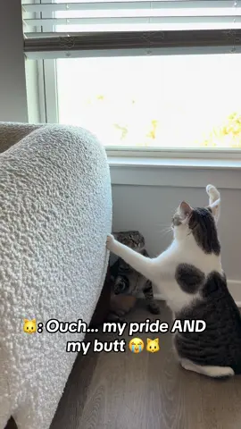 POV: that’s what happens when you talk big but forget balance 😹😳 Can we get 10k likes?  #funnycat #catsoftiktok#ouchfight #kittensoftiktok #tabbycat 