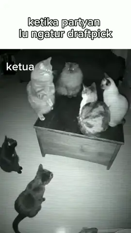 #mlbb9th#draftpick#fyp