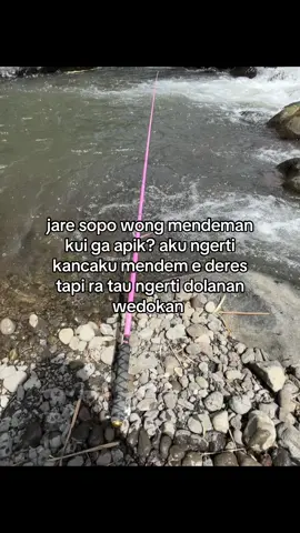 isine mung inpo spot karo aku due spot apik iwak e gede gede #fyp #mancing #masukberanda #foryou #4u 