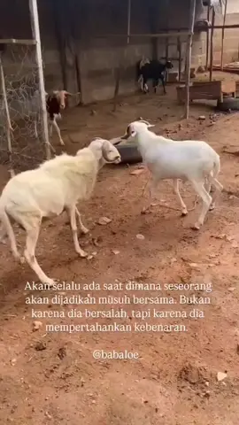 jangan baper ya tinggal INTROPEKSI 🫵 #pyfツ  #fypage  #padahariini  #soloyong #sorotanpublik 