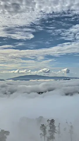 Bye2 tofu#fyp#rubyinternationalmining😎 