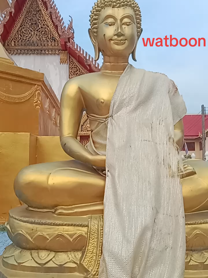 watboon @All Flowers @TikTok Bangladesh @1MILLION 