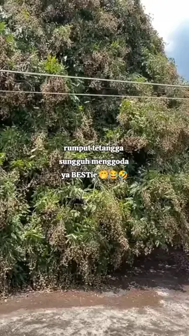 nanti malam ngumpul di tempat biasa ya BESTie 🤭😂😂