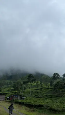 #djharrisnugraha #fypage #lewatberanda #fypシ゚ #djsadsong 