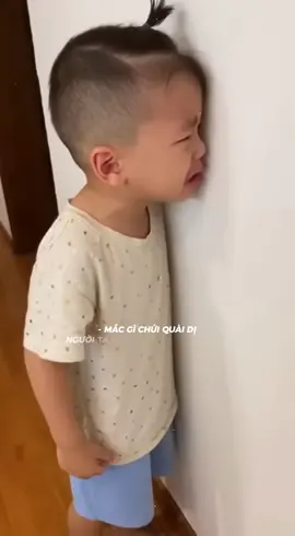 Chửi gì chửi qài dị  #nhachaymoingay  #nhactamtrang  #xuhuong2025  #foyou  #fpy 