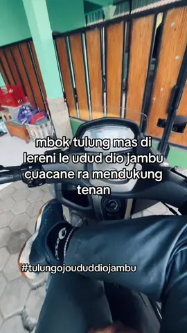 #fyp #jogja24jam #gondesjogja #gondes #rojaliliar👹 