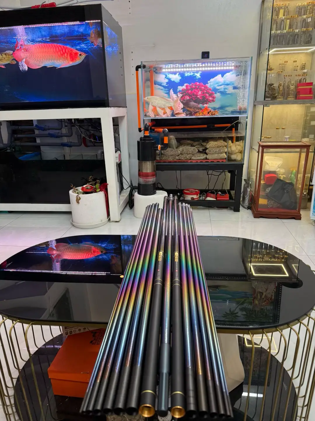 Đâu cứ phải sau cơn mưa mới thấy cầu vồng tai sao ít người chơi dòng này nhỉ chắc màu mè quá ít ai thích màu mè dễ móm 😁😁#xuhuongtiktok2025 #cauca #fishing #fishing #xuhuongtiktok 