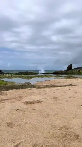 Mulaaxo 😂#mogadishu#ciyaalxamar#somalia🇸🇴#somalia 