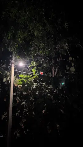 Ek ghaav he Jo kisi ko dekhaya nahi maine..!!🙃❤️‍🩹 #mightyankit #part33 #foryoupage #birgunjmuser #nightview 