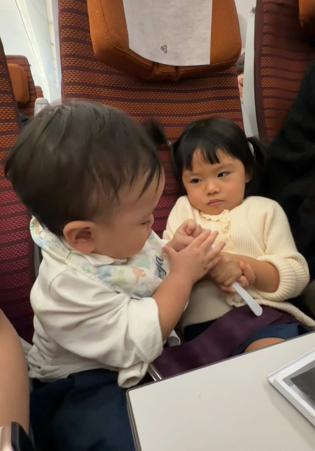 10 fight 10 ก็ไม่สู้คู่นี้ค่าาาา 😬😬😬 นี่แค่ 3 กะ 1 ขวบนะเนี่ย หึหึหึหึ #เวก้ากว่าจะโต #ยัยหนูวีว่า 