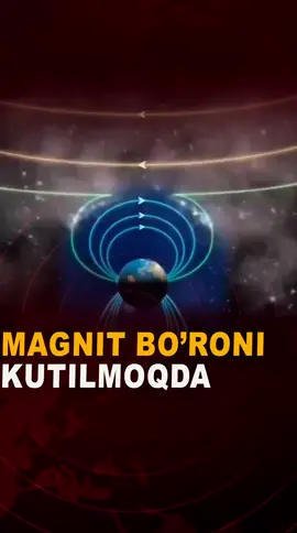 Magnit bo'roni kutilmoqda #new #rek #top 