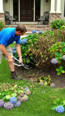 🌙 In the dark garden… whispers of unknown leaves surround you. 🕸️ Which plant is hiding in the shadows? 💀 What silent disease flows through its veins? 🔮 With one tap, the mystery is revealed. 🌿 Plant Identifier – uncover its secrets tonight. V191-196#halloween #indoorjungle #monstera #indoorplants #plantlover #plantcare #plants #houseplants #plantmom #PlantTok #halloweenlook #fyp