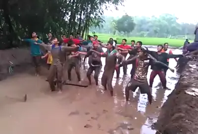 video tahun kapan iki @elkusla1621 #banyuwangi #musik #dance #sawah 