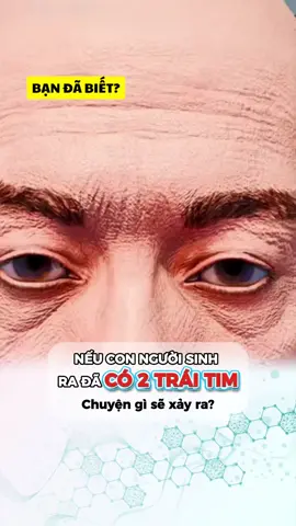 Hai trái tim để yêu nhiều hơn… hay để đau nhiều hơn? #kenhvn #kienthuc #hoccungtiktok #bandabiet #khoahoc 