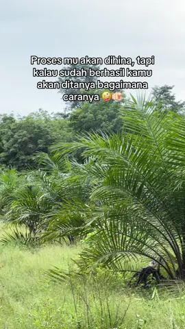 #bossawit #bosmuda #fyp #fyppppppppppppppppppppppp #viral 