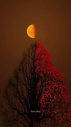 Ma Sama Oo Cimiladeydu 😫♥️💕#viralvideo🔥 #somalisongs_tiktok #somalilyrics🌺😕💎jawi_bila🌊❤️🌴 #viral #fyp 