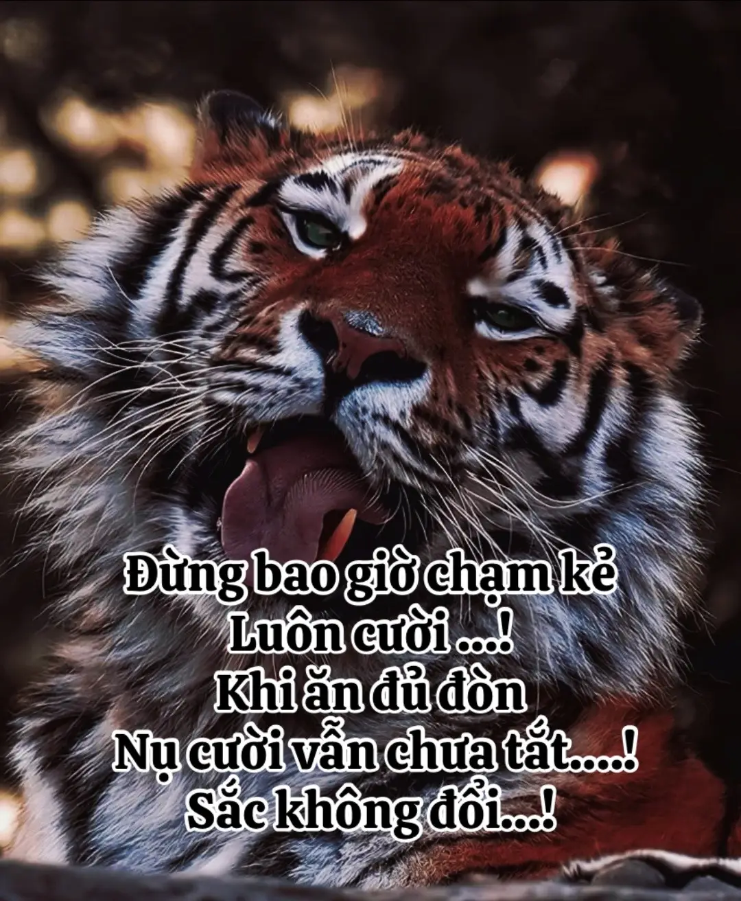 #trietlycuocsong #phatphapnhiemmau #viral #camxuccuatoi #xh