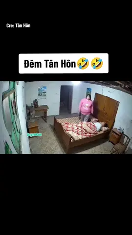 Tân hôn #quynhkun 