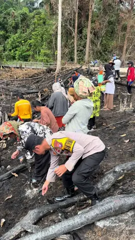 Penanaman padi dan jagung untuk Ketahanan pangan desa Jangkang Baru Kec. Lahei Barat, semoga berkah dan hasil melimpah #ketahananpangan #padi #jagung #polri #bhabinkamtibmas 