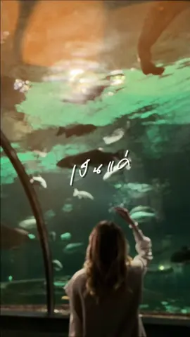 #CapCut #สตอรี่ความรู้สึก #สตอรี่เพลงเพราะ 