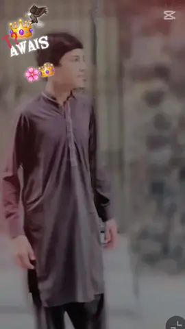 #🦅👑👑👑👑🌸🦅🦅🦅🦅