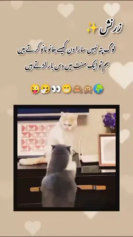 #foryou #foryoupage #trending #viral #plzdontunderreviewmyvideotiktok 