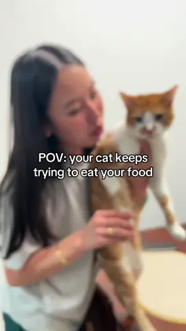 He acts like he’s never been fed a day in his life #catsoftiktok 