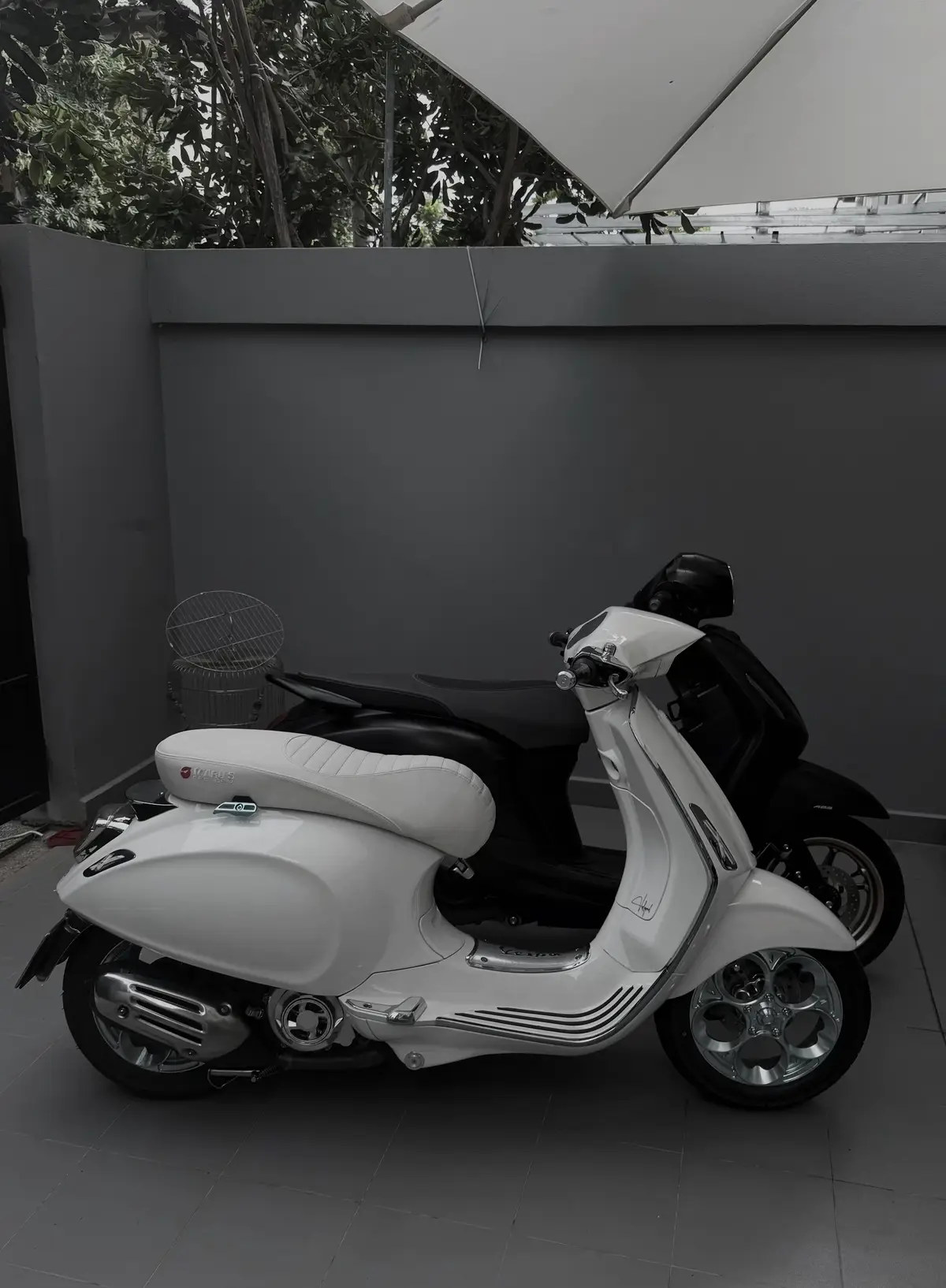 Vespa x Filano #veslegend #filanospecialedition 